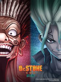 石纪元 Dr.STONE 第三季