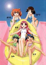 天使的尾巴 第二季