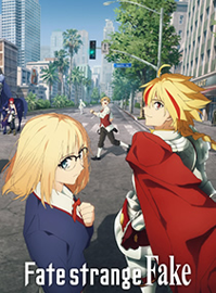 Fate命运/奇异赝品